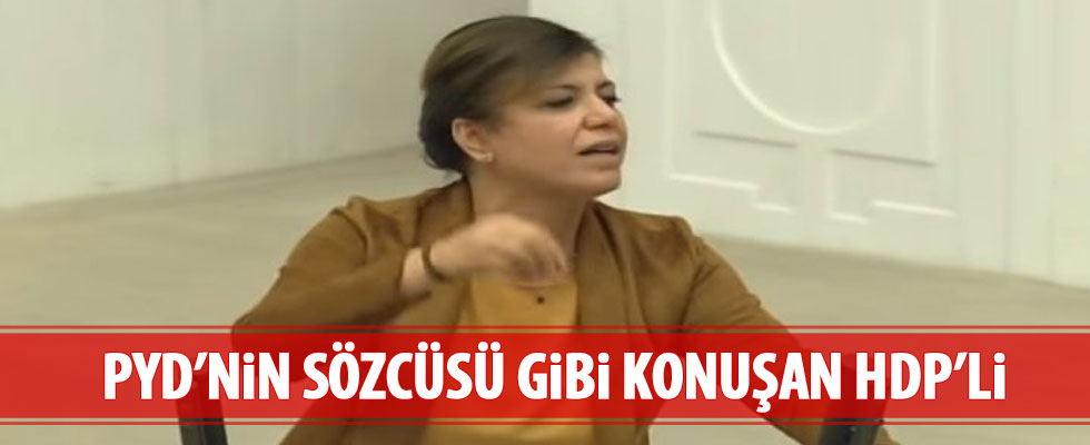 HDP'li Beştaş: Türkiye neden PYD'ye düşmanlık yapıyor?