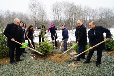 Kastamonu'da '24 Kasım Öğretmenler Günü Hatıra Ormanı' Oluşturuldu