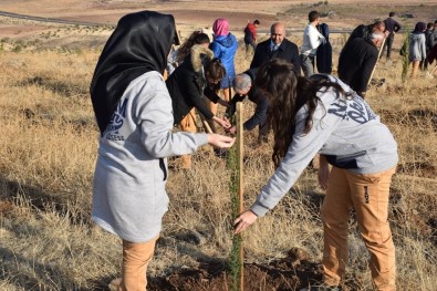 Öğretmenler  Adına Fidan Dikildi