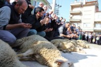 ÇUKURKÖY - Tavşanlı İlçesinde 1 Yıl İçerisinde Aynı Mahalleden 4 Halil Trafik Kazasında Hayatını Kaybetti