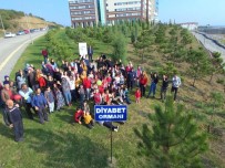 Diyabet Haftası Düzce Üniversitesi'nde Dolu Dolu Geçti