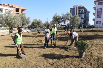 Turgutlu'da Ağaçlandırma Çalışması