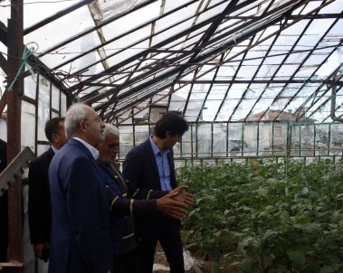 Kılıçdaroğlu Afet Bölgesinde