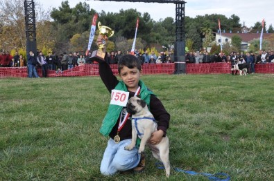 Köpeklerin Güzellik Yarışması Finali İzmir'de Yapıldı