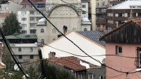 Beyoğlu'nda İşçinin Çatıda Tehlikeli Çalışması Kamerada