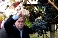 İLÇE KONGRESİ - AK Partili Berber'den Çiftçi Borçlarına Yapılandırma Müjdesi