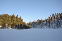 Gerede'de Kar Kalınlığı 45 Santimetreyi Buldu