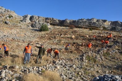 Mersin'de 13 Milyon 750 Bin Fidan Toprakla Buluşacak