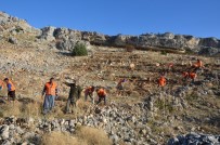 MAHMUT YıLMAZ - Mersin'de 13 Milyon 750 Bin Fidan Toprakla Buluşacak