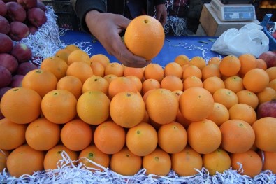 Portakal Üreticileri Emeklerinin Karşılığını Almak İstiyor
