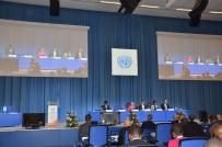 İSVEÇ KRONU - UNIDO 17. Genel Kurul Toplantısı Viyana'da Başladı