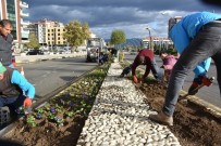 SADIK AHMET - Alaşehir Çiçekle Renklendi
