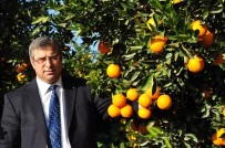 NÜFUS ORANI - Karademir Açıklaması 'Tarım Alanları Yok Oluyor, Kırsal Nüfus Azalıyor'