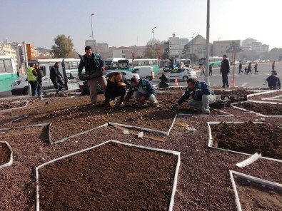 Kayseri'de Yaşayan Nüfus Kadar Bitki Soğanının Dikimi Yapılıyor
