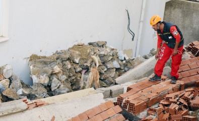 Milas'ta Yaşanan Göçükte Korkulan Olmadı