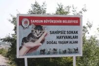 YUSUF ZIYA YıLMAZ - Samsun Büyükşehir Belediyesi Örnek Oldu