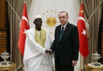 GAMBIYA - Cumhurbaşkanı Erdoğan, Gambiya Büyükelçisini Kabul Etti