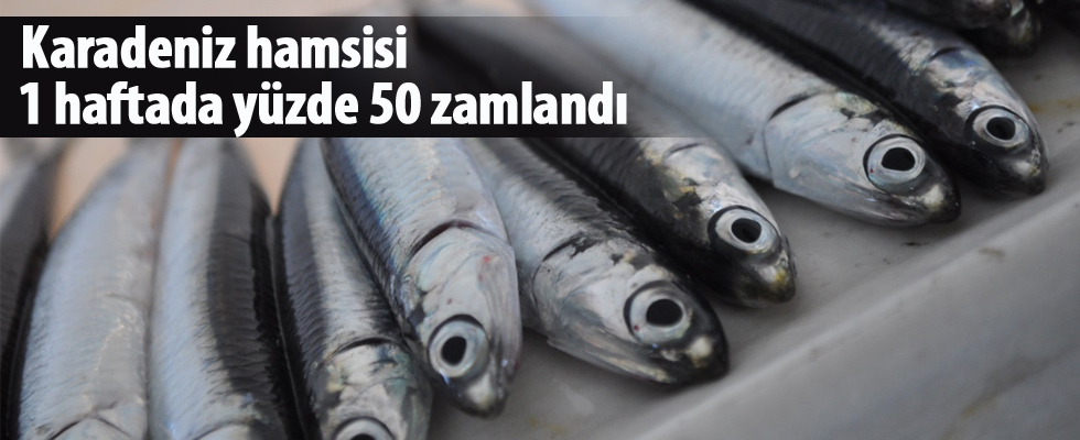 Karadeniz hamsisi 1 haftada yüzde 50 zamlandı
