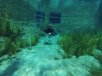 SU SPORLARI - Sakaryabaşı Tatlı Su Dalışlarında Zirveye Oynuyor