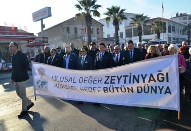 13. Ayvalık Zeytin Hasat Günleri 'Zeytine Minnet' Yürüyüşü Ve Açılış Seremonisiyle Başladı