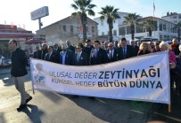 ERSIN YAZıCı - 13. Ayvalık Zeytin Hasat Günleri 'Zeytine Minnet' Yürüyüşü Ve Açılış Seremonisiyle Başladı
