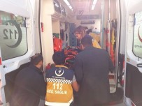 KABRISTAN - Alaplı'da Halk Otobüsü Yayaya Çarptı