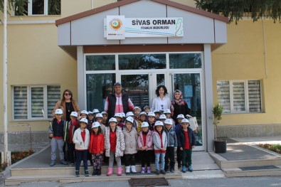 Anasınıfı Öğrencilerinden Sivas Orman Fidanlık Müdürlüğü'ne Ziyaret