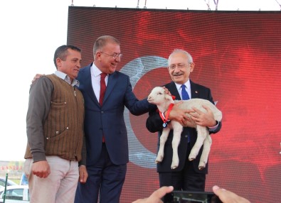 CHP Lideri Kılıçdaroğlu'na 'Kuzu' Sürprizi