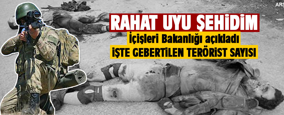 Hakkari, Tunceli ve Şırnak'ta 54 terörist öldürüldü.