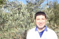BALıKESIR ÜNIVERSITESI - Kaliteli Zeytinyağının Püf Noktalarından Birisi Koklayarak Almak