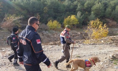 Kaybolan Yaşlı Adamı AFAD Ve Jandarma Buldu