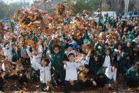 KARTOPU SAVAŞI - Okul Bahçesine Bir Kamyon Yaprak Döküldü