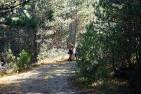 Ormanlık Alanda Terk Edilmiş Halde Traktör Bulundu