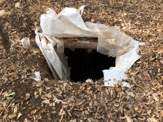 Şırnak'ta ve Diyarbakır'da PKK'ya ağır darbe