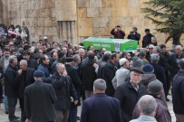 NECATI ŞENTÜRK - Cumhurbaşkanı Erdoğan'ın Okul Arkadaşı Nebi Güdük Toprağa Verildi