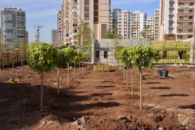 Diyarbakır'da Kent Meydanı Çalışmaları Sürüyor