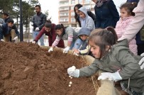 LALE SOĞANI - Özel Öğrenciler Lale Soğanlarını Toprakla Buluşturdu