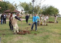 ERGUVAN - Haliliye'de Yeşillendirme Çalışmaları Sürüyor
