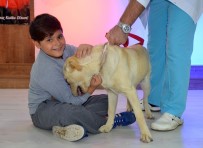 KADIR ÖZDEMIR - Osmangazi'den Öğrencilere Hayvanlarla İletişim Dersi