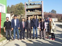 CAVIT ERDOĞAN - Pazarlar'da 4 Çiftçiye 148 Adet Damızlık Koyun