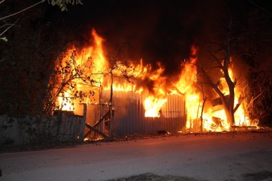 Alev Alev Yanan Ev Güçlükle Söndürüldü