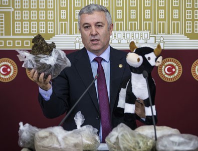 CHP'li vekil Meclis'e oyuncak dana ile geldi