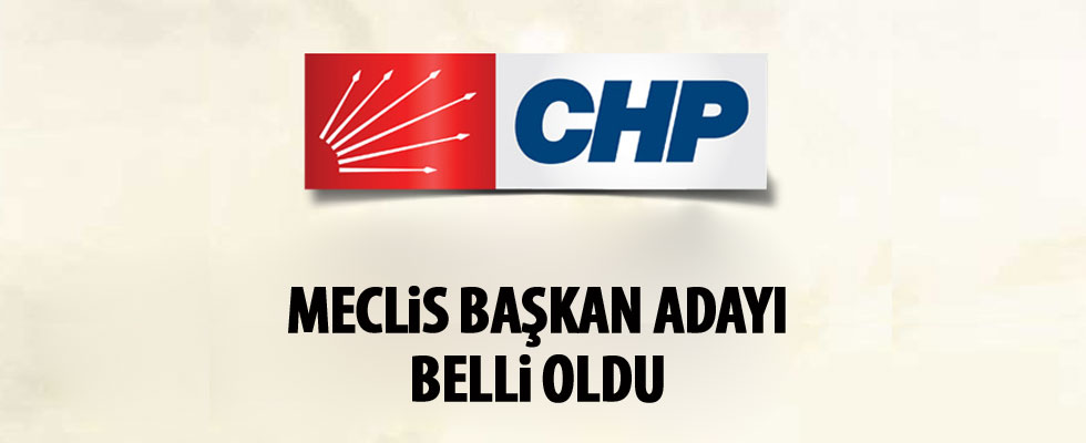 CHP'nin Meclis Başkan adayı belli oldu