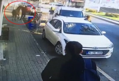 İstanbul'da Başıboş At Korkuttu
