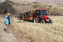 MEHMET TURAN - Dalsız Yapraksız Orman Dikkat Çekiyor
