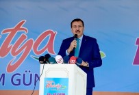 AYVALı - 2 Milyon Kayısı Ağacı Kesildi İddiasına Bakan Tüfenkci'den Tepki