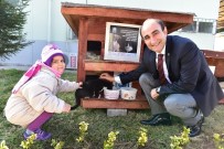 HAYVAN SEVGİSİ - 3 Bin 226 Hayvana Sıcak Yuva