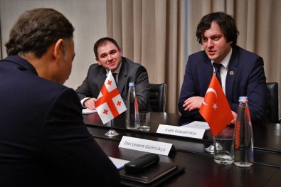 Gürcistan'ın Türkiye Büyükelçisine Veda Toplantısı