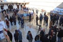 ADNAN BOYNUKARA - Fotoğraf Sergisi Büyük İlgi Gördü