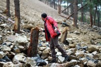 Ormana Moloz Döken Firmaya 355 Bin Lira Ceza